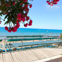 фото из отзыва ID 2706744