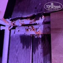 фото из отзыва ID 2706800