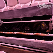 фото из отзыва ID 2706800