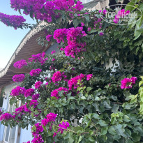 фото из отзыва ID 2706699