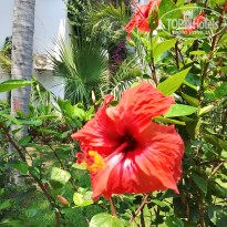 фото из отзыва ID 2706941