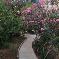 фото из отзыва ID 2707017