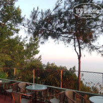 фото из отзыва ID 2707017