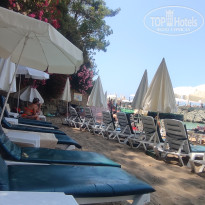 фото из отзыва ID 2707017