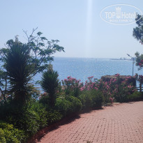 фото из отзыва ID 2707017