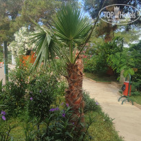 фото из отзыва ID 2707017