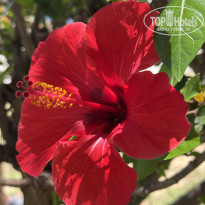 фото из отзыва ID 2707120