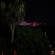 Amon Hotels