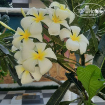 фото из отзыва ID 2707202