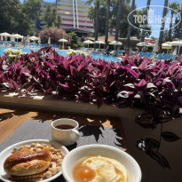 фото из отзыва ID 2707343