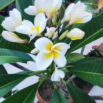 фото из отзыва ID 2707498