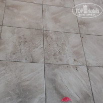 фото из отзыва ID 2707498