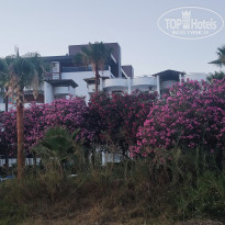 фото из отзыва ID 2707498