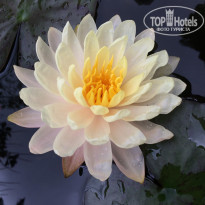 фото из отзыва ID 2707611