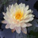 фото из отзыва ID 2707611