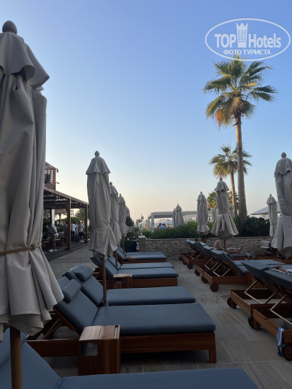 Sonder at JBR The Walk