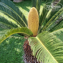 фото из отзыва ID 2707927