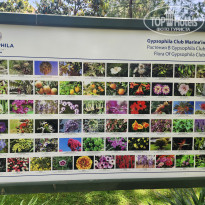 фото из отзыва ID 2707977