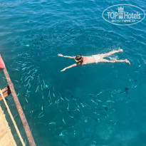 фото из отзыва ID 2708041