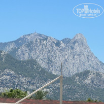 фото из отзыва ID 2708037