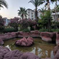 фото из отзыва ID 2708093