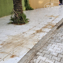 фото из отзыва ID 2708214