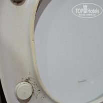 фото из отзыва ID 2708214