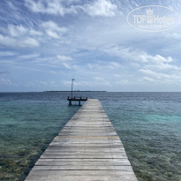фото из отзыва ID 2708215