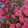 фото из отзыва ID 2708397