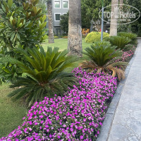 фото из отзыва ID 2708486
