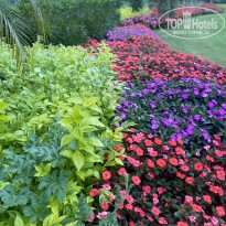 фото из отзыва ID 2708486