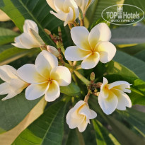 фото из отзыва ID 2708547