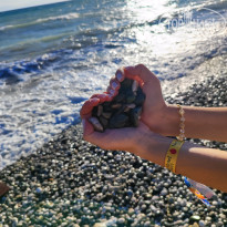 фото из отзыва ID 2708558