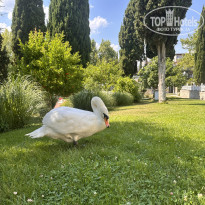 фото из отзыва ID 2708801