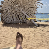 фото из отзыва ID 2708893