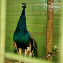 фото из отзыва ID 2709090
