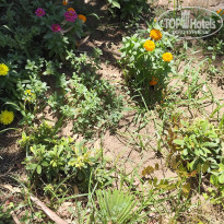 фото из отзыва ID 2709167