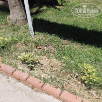 фото из отзыва ID 2709167