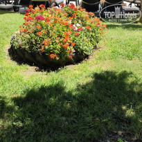 фото из отзыва ID 2709167