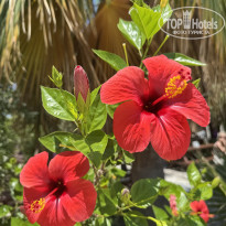 фото из отзыва ID 2709371