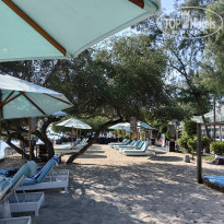 фото из отзыва ID 2709465