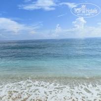 фото из отзыва ID 2709465