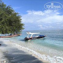 фото из отзыва ID 2709465