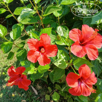 фото из отзыва ID 2709492