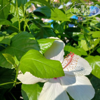 фото из отзыва ID 2709492
