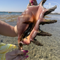 фото из отзыва ID 2709501