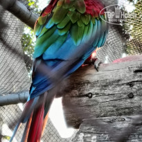 фото из отзыва ID 2709672