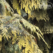 фото из отзыва ID 2709540