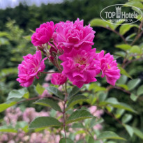фото из отзыва ID 2709540
