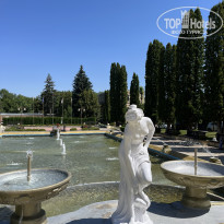 фото из отзыва ID 2709540